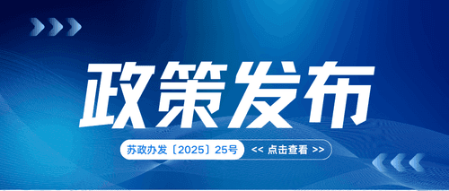 省政府办公厅关于印发江苏省创新提升数字贸易推动服务贸易高质量发展若干措施的通知（苏政办发〔2025〕25号）
